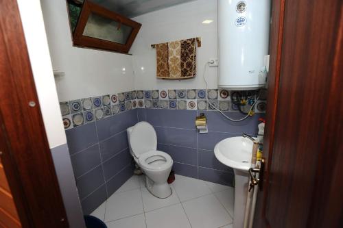 Cottage Racha Rhymes في أمبرولاوري: حمام صغير مع مرحاض ومغسلة