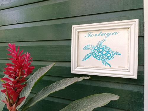 a picture of a turtle on the side of a house at Santuarios del Mar in Bocas del Toro