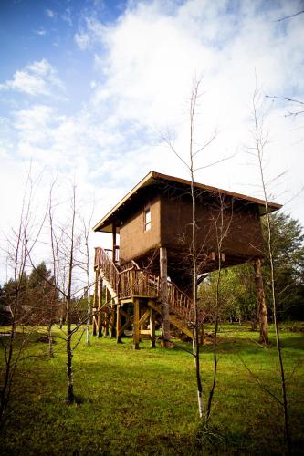 a large wooden house with a deck on a field at Complejo Cabañas Quilamalen in Villarrica