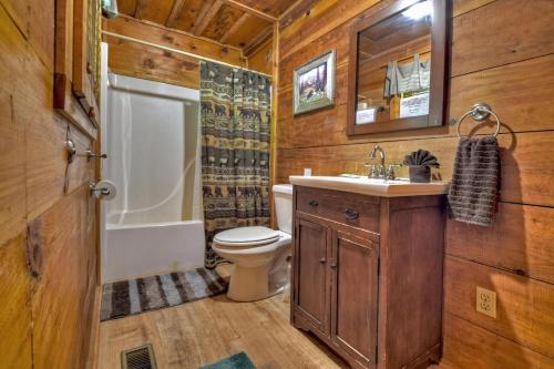 a bathroom with a toilet and a sink and a shower at Stargazer in Ellijay