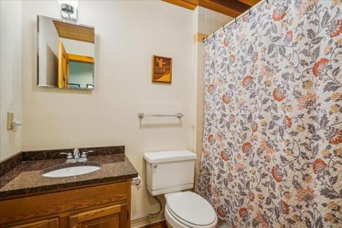 een badkamer met een toilet en een douchegordijn bij Sunburst in Killington