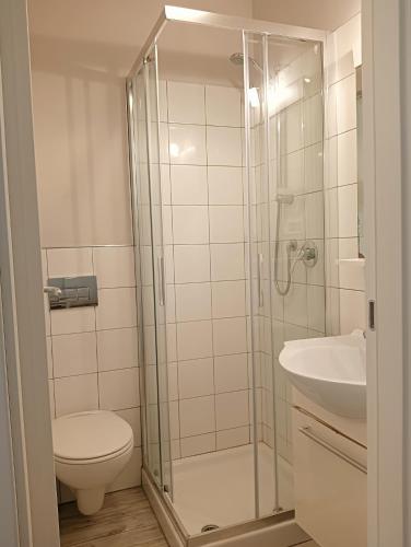 a bathroom with a shower and a toilet and a sink at Hotel Petit in Silvi Marina
