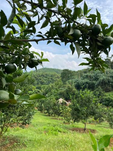 Landskap semula jadi dekat dengan chalet