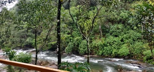a river in the middle of a forest at Bella Casa in Vagamon