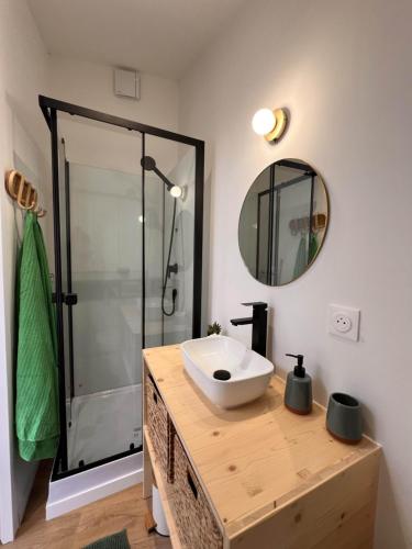 une salle de bain avec un lavabo et une douche dans l'établissement Charmant studio avec terrasse 15m2 fraîchement rénové, à Perros-Guirec