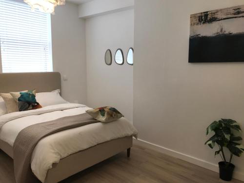 a bedroom with a bed and a potted plant at On The Avenue Apt 3 in Nottingham