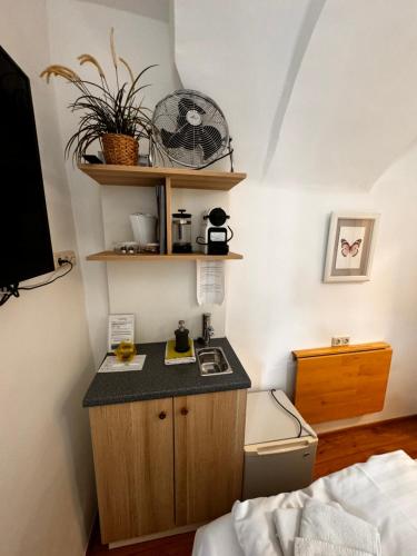 a small kitchen with a counter and a sink in a room at Guesthouse Mozart - Apartment House in Salzburg