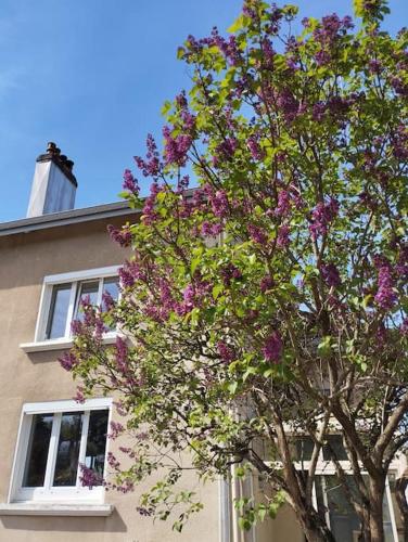 Authentique, vintage, harmonieux et wifi rapide