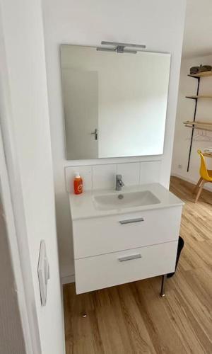 une salle de bain avec un lavabo blanc et un miroir dans l'établissement maison 22 couchages prox gare et centre Max 10 chambres, à Lille