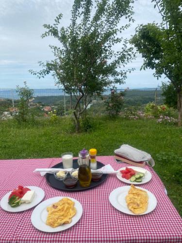 een picknicktafel met borden eten erop bij Meti Guest House in Krujë