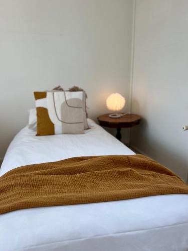 - un lit avec une couverture brune au-dessus dans l'établissement L'Isly, Dernier étage en centre de Rennes avec terrasse de 50m2, à Rennes