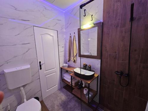 Koupelna v ubytování Apartman Mudrinić Apatin