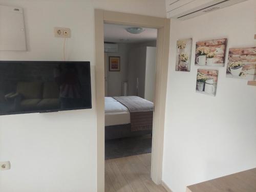 Apartment Lino - city center