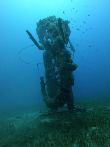 a diver is standing in the water with a rope at Sky Dahab Hotel in Dahab