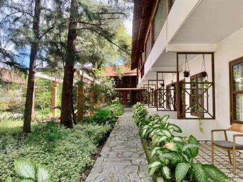 a courtyard of a house with plants and a walkway at Nhà Gỗ An Nhiên in Xóm Chum Găng