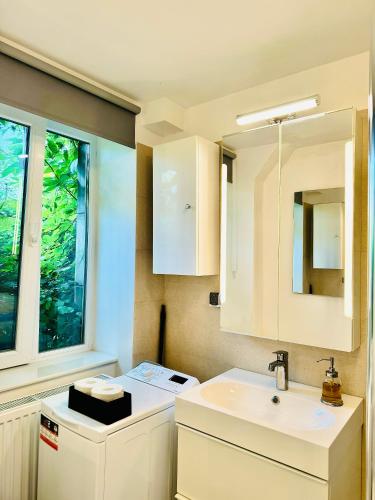 a small kitchen with a sink and a window at Bri Central Apartment in Deva