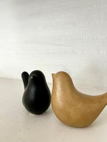 deux oiseaux assis côte à côte sur une table dans l'établissement Le Vasselot, Rennes Centre, à Rennes