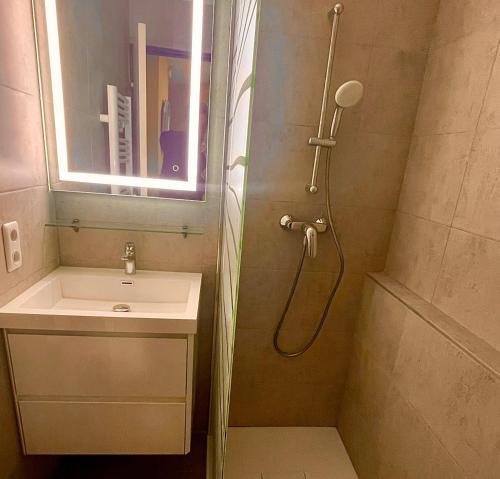 une salle de bain avec douche et lavabo dans l'établissement Cannes, La Palme d'Or, à Cannes