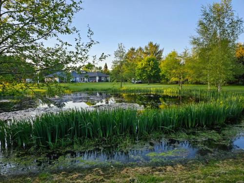 a pond in a park with grass and trees at Guesthouse Tradsborgvej in Tjæreborg