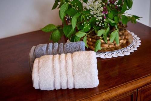 a brush sitting on a table next to a vase of flowers at Four-Bedroom Villa Bajer in Stari Trg pri Ložu