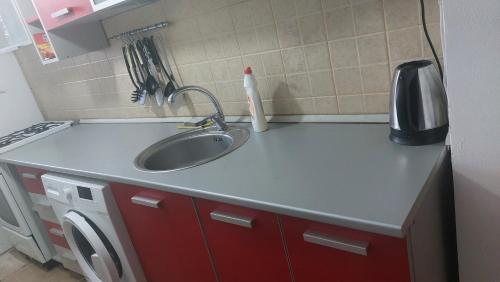 eine Küchentheke mit einer Spüle und einer Waschmaschine in der Unterkunft happy home in Bukarest