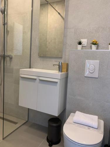 a bathroom with a toilet and a sink and a shower at Brela - room for two in Brela