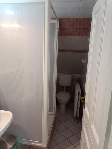 a bathroom with a toilet and a sink at Katerina Vendégház in Tihany