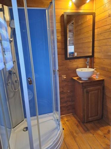 ein Bad mit einer Dusche und einem Waschbecken in der Unterkunft Monts de flandre insolite in Berthen