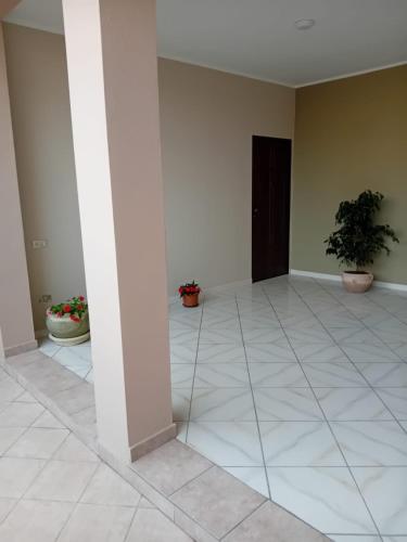 an empty hallway with potted plants and a door at Da zia Barbara in Sìnnai