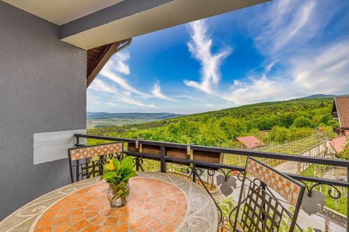 Dragatuš的住宿－Vineyard Homestead Vrtin - Happy Rentals，设有一个配有桌子并享有美景的阳台。