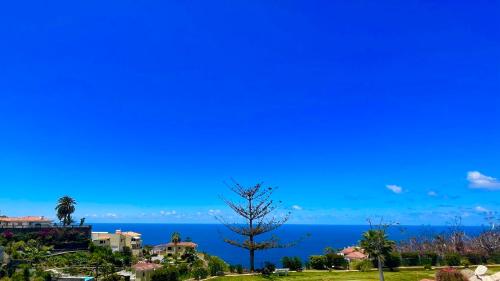 a tree on a hill with the ocean in the background at Ankerplatz - casa Juseli - Ruhe und Erholung in Santa Úrsula