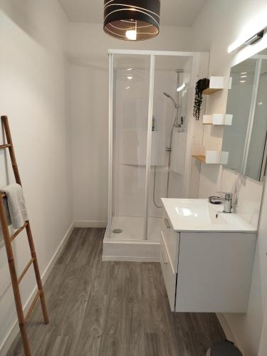 une salle de bain avec douche et lavabo dans l'établissement Gîte 