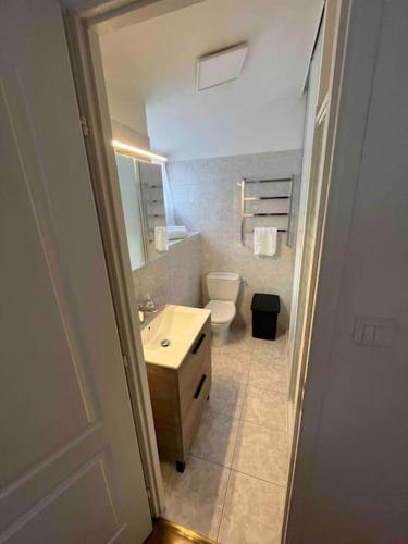 une salle de bain avec un lavabo et des toilettes dans l'établissement T2 hyper centre ville, à Ajaccio