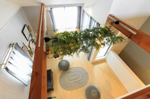 an overhead view of a staircase with plants at trive osu east 最大7名宿泊可能 in Nagoya