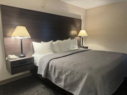 een hotelkamer met een groot bed met 2 lampen bij Quality Inn Spearfish in Spearfish
