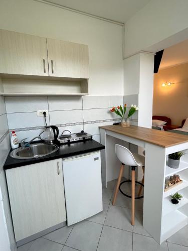 a small kitchen with a sink and a counter at Apartments SoleMar2 in Sutomore