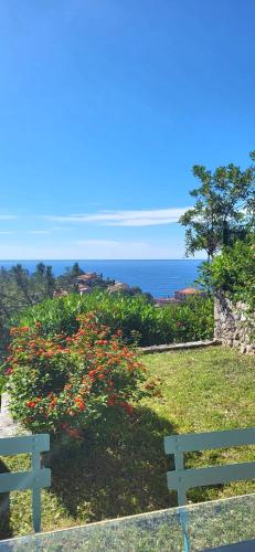 Seaview house, close Cannes, pool, garden. garage