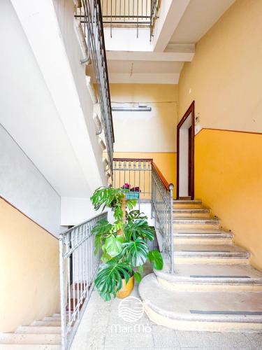 Galeriebild der Unterkunft MareMò Accomodations - Rooms in Tropea in Tropea