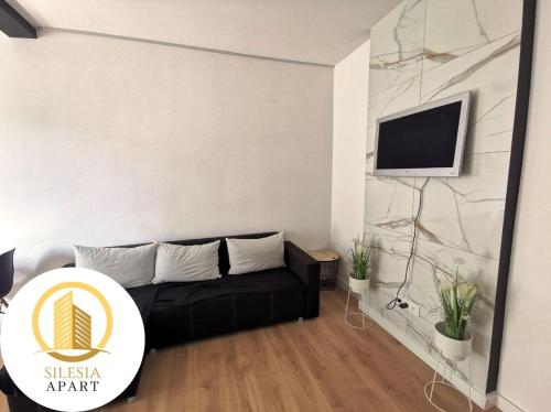 a living room with a black couch and a tv at Apartament Szary in Tychy