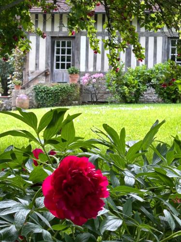 una flor roja en un jardín frente a una casa en Les Maisons de Marie en Manerbe