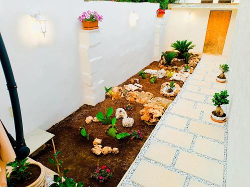 a miniature garden in a house with plants at La Carosa Suite in Oria