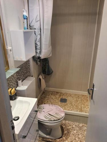 une petite salle de bain avec toilettes et lavabo dans l'établissement Villa Géraniums apt 4, à Mont-Dore
