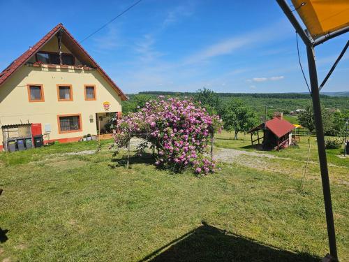 a house on a hill with a bush of flowers at Pensiunea Printul Vlad in Sibiel