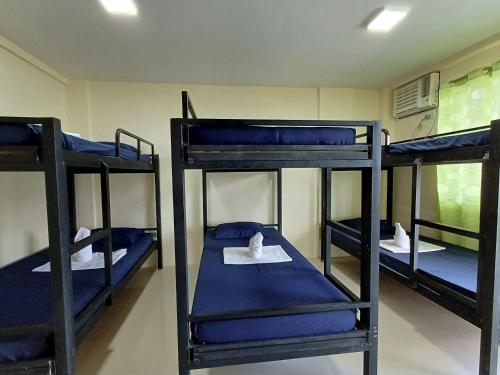 three bunk beds in a room with blue sheets at Sakura's Pool and Leisure Hub in Puerto Princesa City