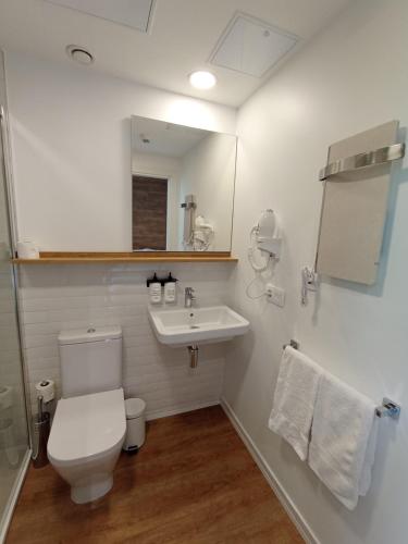 een badkamer met een toilet, een wastafel en een spiegel bij Uma Suites Ondarreta in San Sebastian