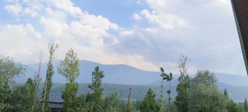 a view of trees and mountains in the distance at magray guest house in Gulmarg