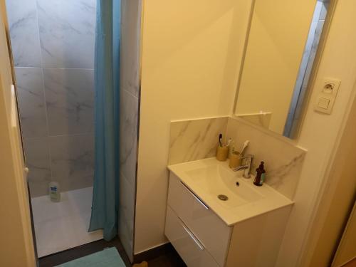 une salle de bain avec un lavabo et une douche dans l'établissement Appartement 2 pièces, à Puteaux