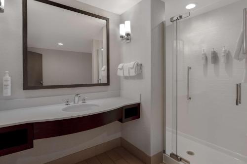 uma casa de banho com um lavatório e um chuveiro em Hilton Garden Inn Burlington Downtown em Burlington