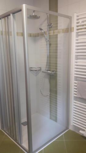 a shower with a glass door in a bathroom at GamserlAlm Fam. Feichtenhofer in Turnau