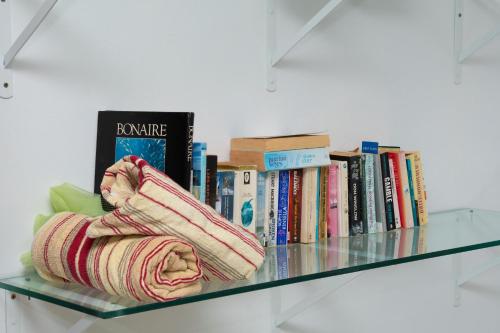 a glass shelf with books and a scarf on it at The Rusty Pelican in La Gaulette